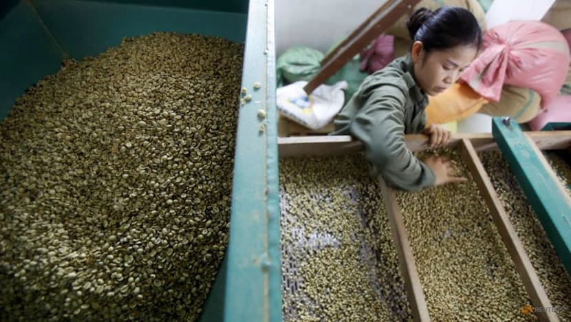 Vietnam June coffee exports down 3.5% m/m at 137,403 tonnes - customs Vietnam June coffee exports down 3.5% m/m at 137,403 tonnes - customs
