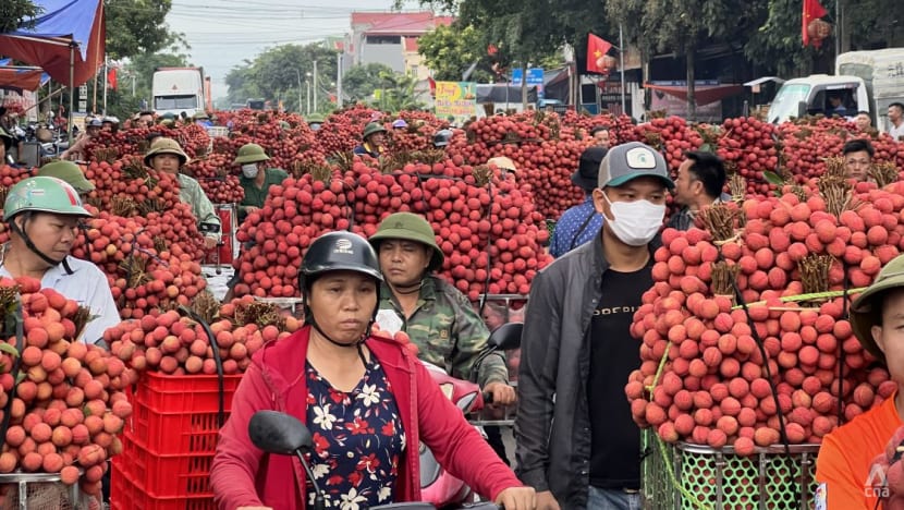 Sales, prices of Vietnam harvests like lychee increase following China’s reopening