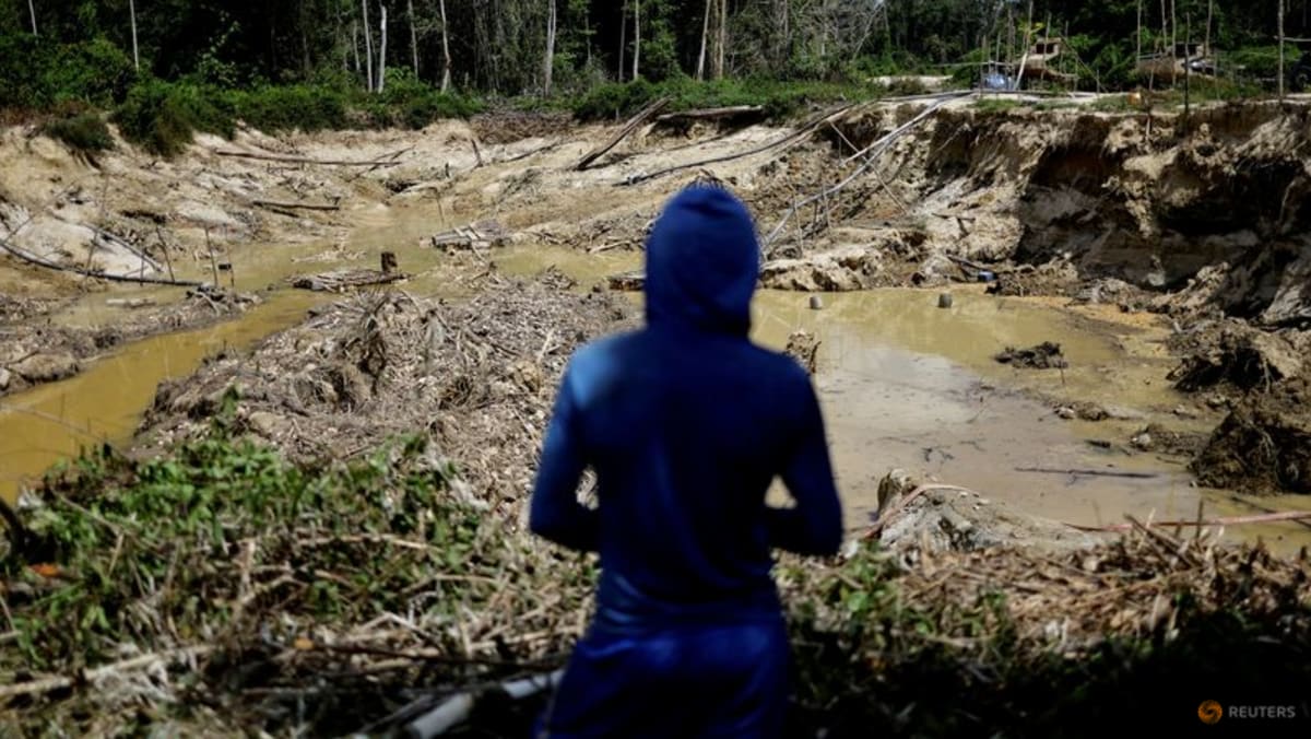 Study finds mercury contamination in Brazil's Yanomami people