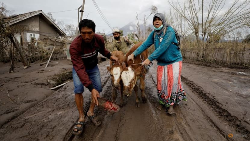 Indonesia's Jokowi pledges further rescue, recovery efforts after Semeru eruption Indonesia's Jokowi pledges further rescue, recovery efforts after Semeru eruption