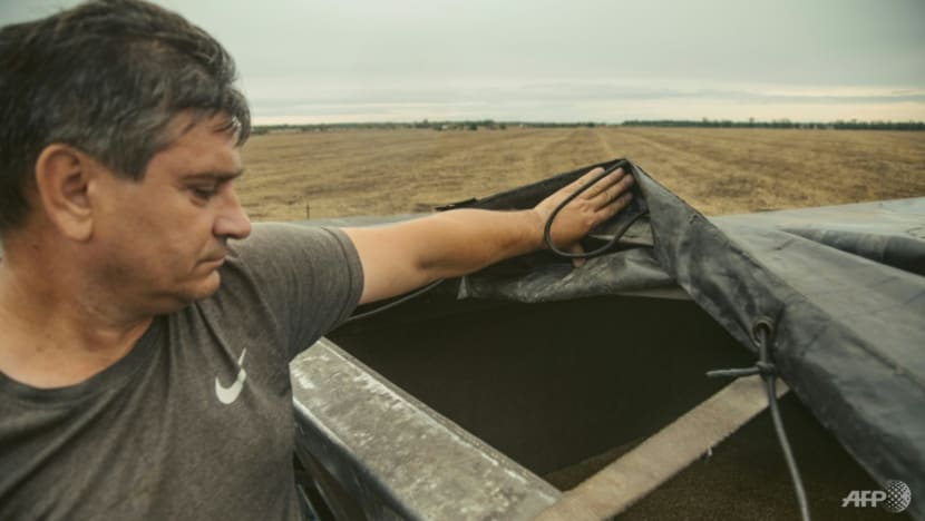 Ukrainian grain lorries wait days to unload at Danube port