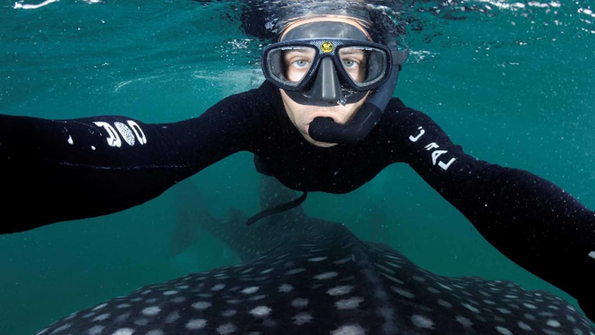 Watch: National Geographic Live: Wild Seas, Secret Shores - 8days