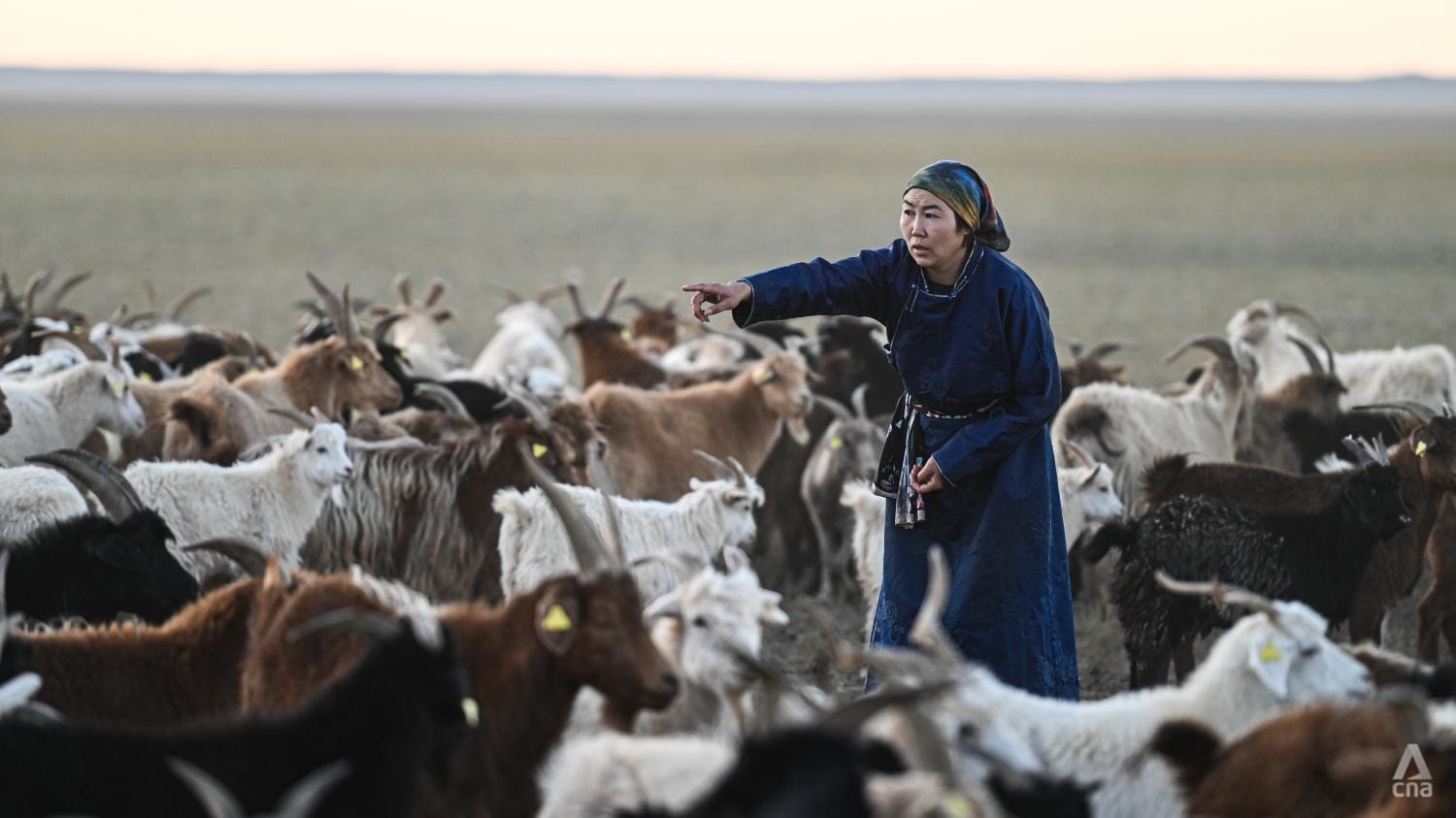 In the deep, cold Gobi desert, Mongolia’s nomadic herders cannot outrun climate change