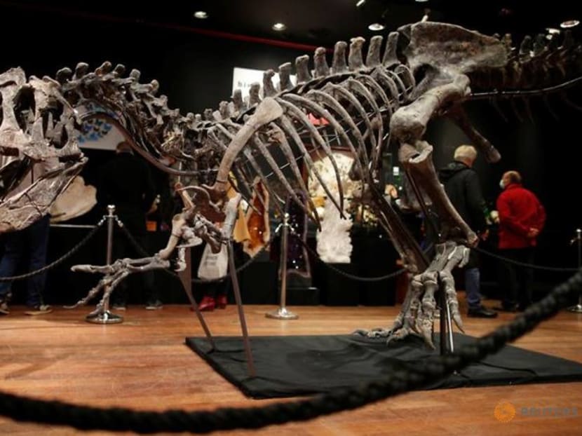 Remains of the day: dinosaur skeleton fetches three million euros Remains of the day: dinosaur skeleton fetches three million euros