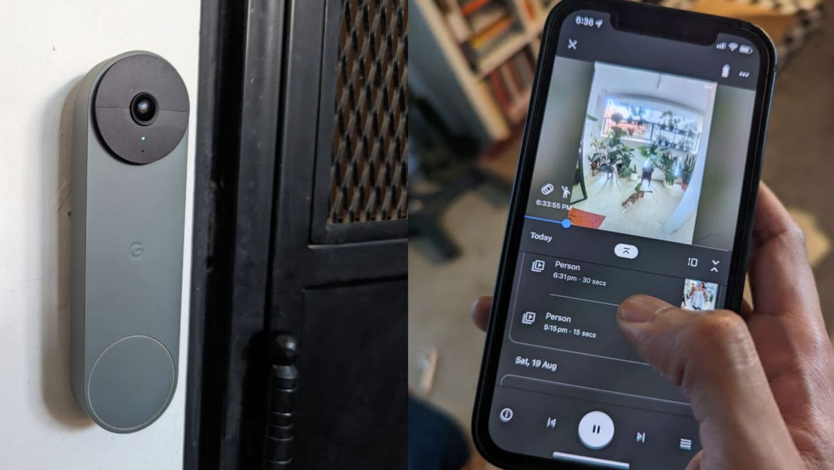 Netvue outlet google home