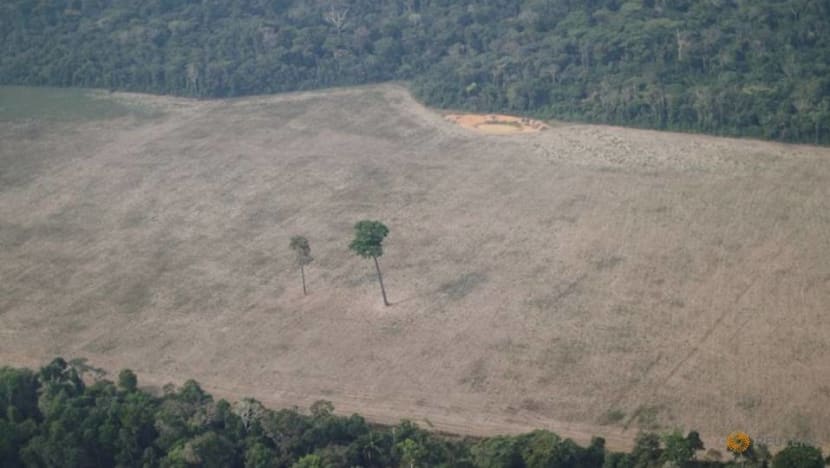 Brazil seeks US$1 billion in foreign aid to curb Amazon deforestation by 30-40%: Environmental minister Brazil seeks US$1 billion in foreign aid to curb Amazon deforestation by 30-40%: Environmental minister