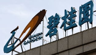 Chinese property developer Country Garden's Hong Kong liquidation hearing adjourned