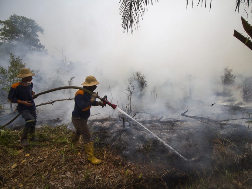 Firefighters extinguish a peatland fire in Palangkaraya, Central Kalimantan on Sept 12, 2019. Indonesian citizens, and those of neighbouring Southeast Asian countries, have long suffered recurring haze pollution from peatland fires in Indonesia.