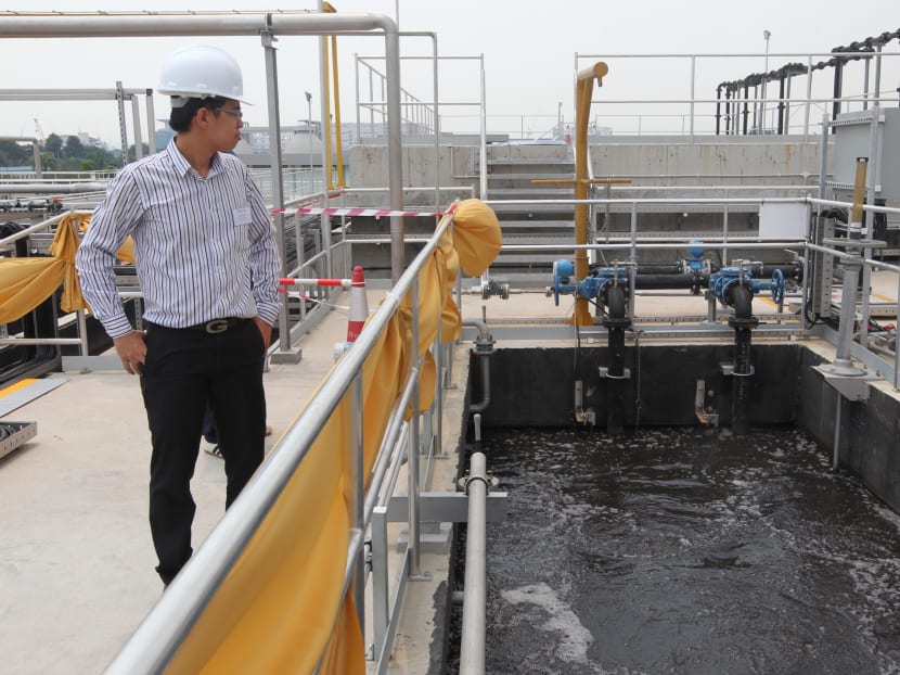 PUB, Japanese firm open new water recycling and treatment plant in Jurong