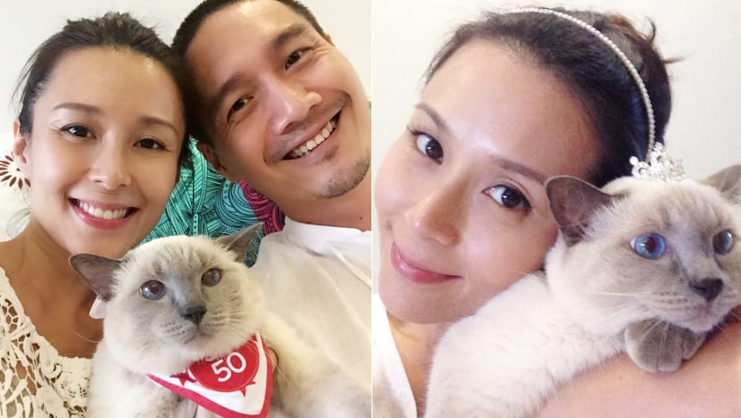 Furbulous Celebrity Meow series: Priscelia Chan and her furry bundle of joy