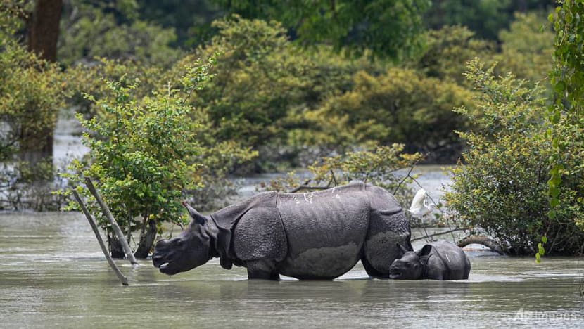 Caught by deluges and droughts, India's cities look to become climate smarter Caught by deluges and droughts, India's cities look to become climate smarter