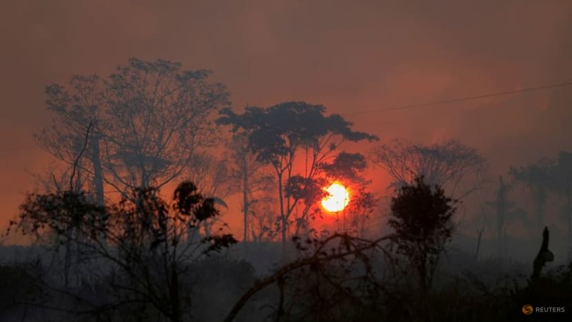 EU proposes law curbing import of goods linked to deforestation EU proposes law curbing import of goods linked to deforestation