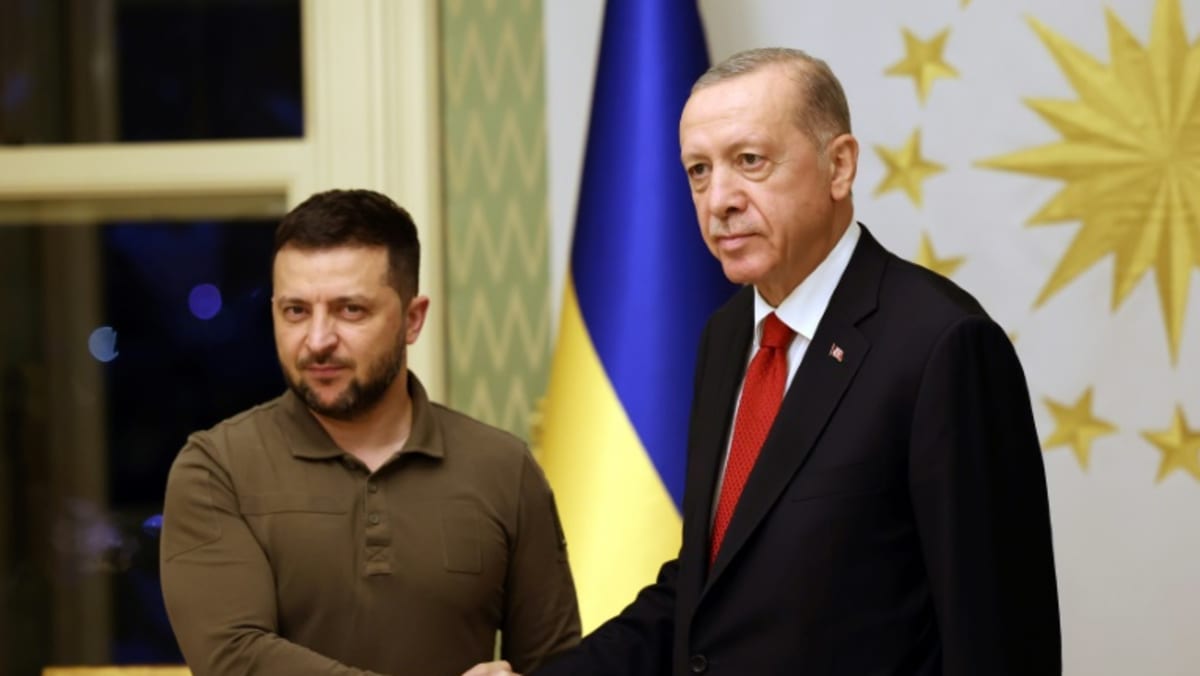 Zelenskyy to hold Istanbul talks with Erdogan on war, Black Sea
