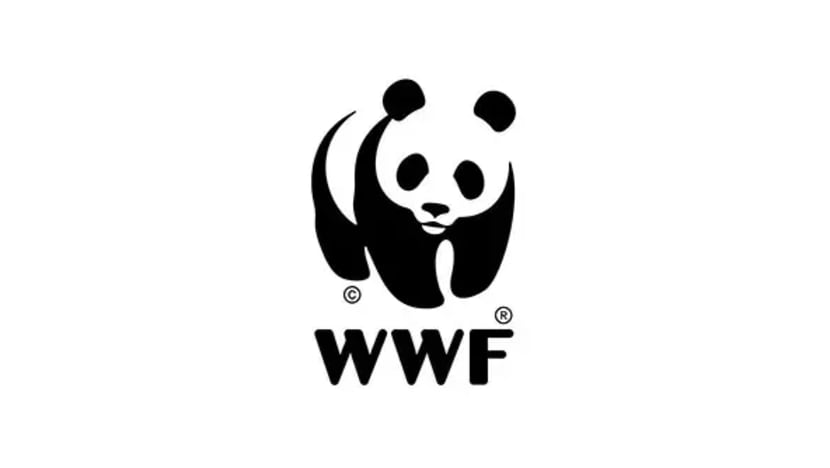 Mediacorp, WWF-SG jalin kerjasama saji lebih banyak kandungan hiburan pendidikan sains kanak-kanak