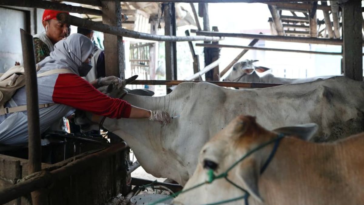 Indonesia suspends imports from 4 Australian facilities after skin disease detected in cattle Indonesia suspends imports from 4 Australian facilities after skin disease detected in cattle