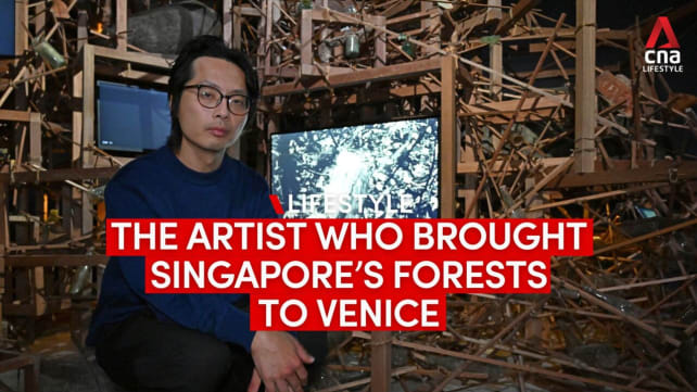 Bukit Panjang to Venice Biennale: Singapore artist Robert Zhao Renhui’s Seeing Forest exhibit
