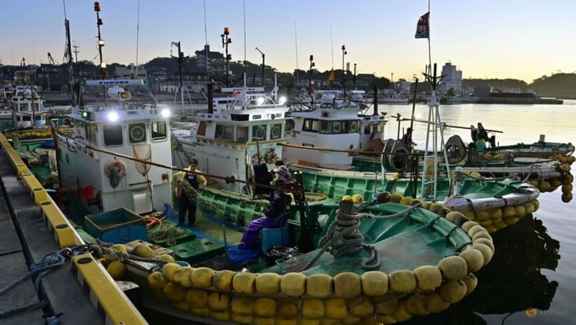 Japan says no radioactivity found in Fukushima fish: Report