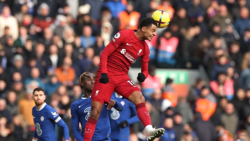 Gakpo might have moved too early to Liverpool says Dutch coach Koeman Gakpo might have moved too early to Liverpool says Dutch coach Koeman