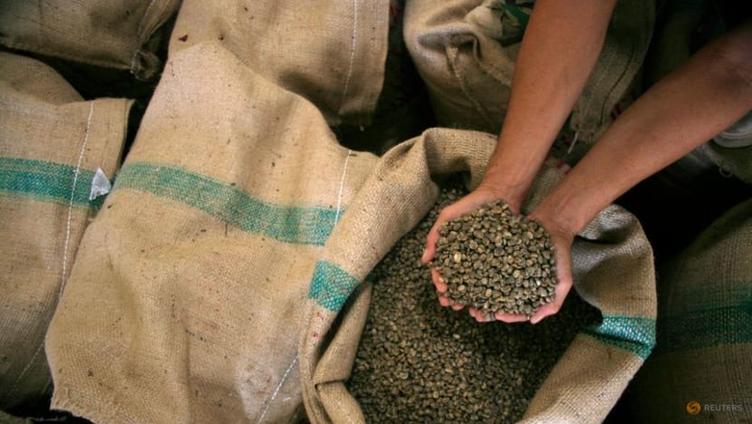Indonesia's Sumatra robusta coffee exports down 51.5per cent y/y in Oct -govt data Indonesia's Sumatra robusta coffee exports down 51.5per cent y/y in Oct -govt data