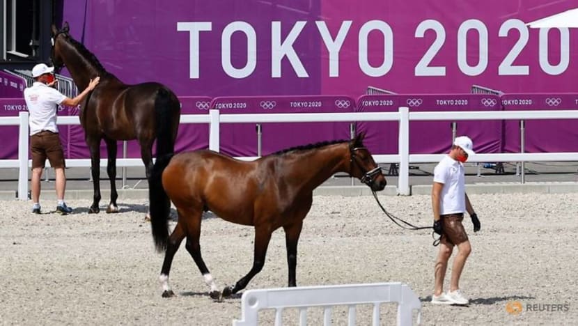 FOCUS ON-Equestrian sports at the Tokyo Olympics FOCUS ON-Equestrian sports at the Tokyo Olympics