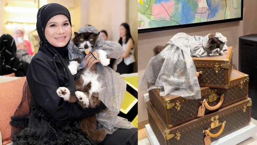 M’sian Businesswoman Celebrates Her Cat’s Birthday At Louis Vuitton Store