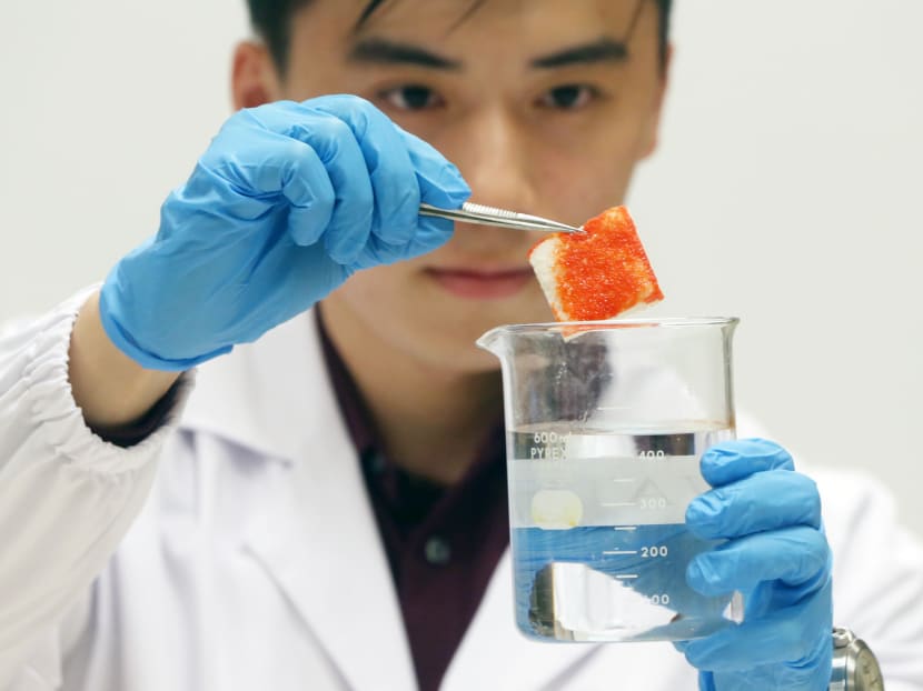 An NUS student holding a piece of cellulose aerogel used to absorb oil in a beaker of water. Photo: Ooi Boon Keong
