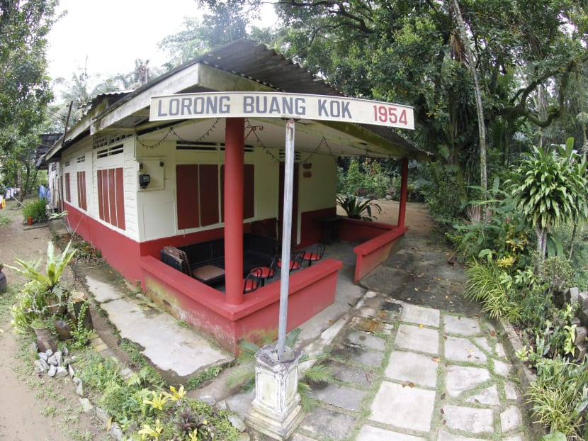 Kampong Lorong Buangkok, the last surviving kampong in Singapore. TODAY file photo