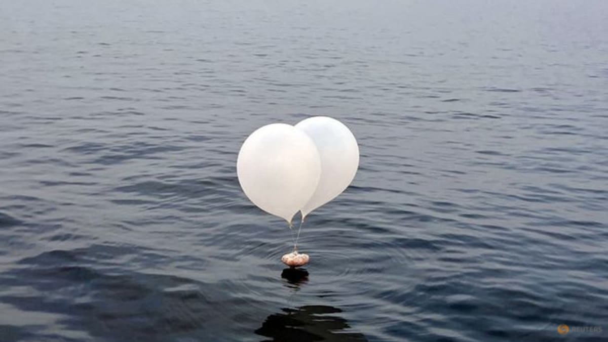 Hello Kitty, parasites: Inside North Korea trash balloons according to South