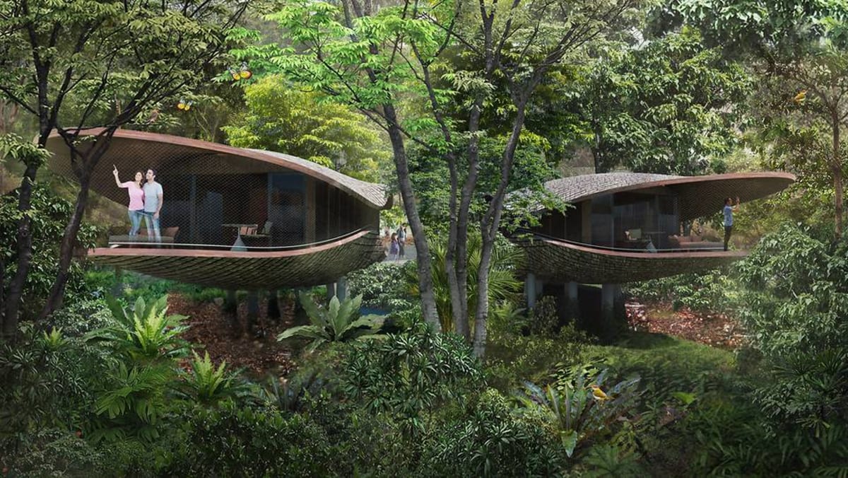 Escape Into Nature 10 Epic Treehouse Hotels In Southeast Asia
