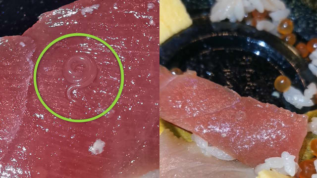 食品局：食用即食生鱼片感染寄生虫病风险高 