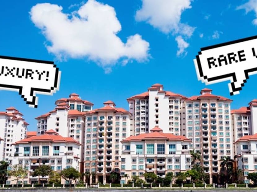 'Garden living', 'rare unit': Decoding 5 marketing cliches on property listings 'Garden living', 'rare unit': Decoding 5 marketing cliches on property listings
