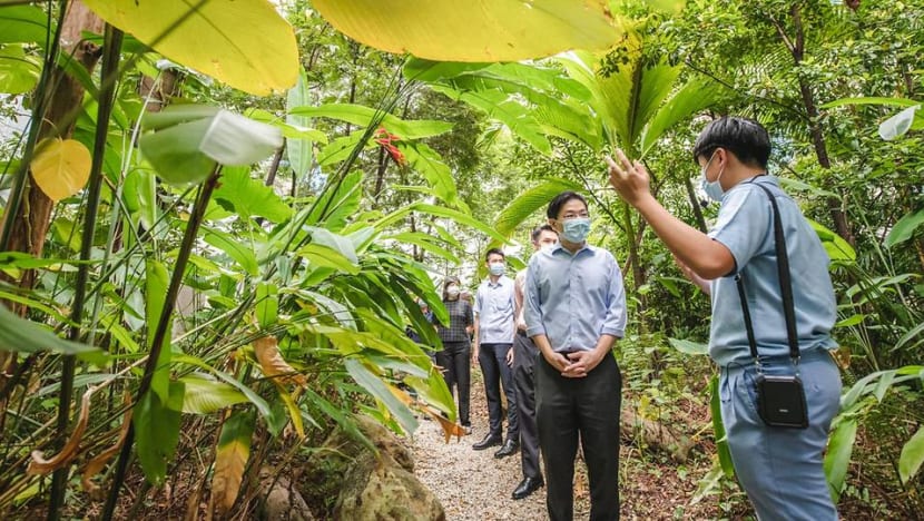 Solar power for most schools as MOE aims for 2030 carbon-neutral target Solar power for most schools as MOE aims for 2030 carbon-neutral target
