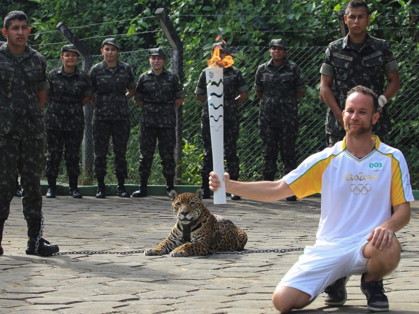 Brazilian physiotherapist Igor Simoes Andrade poses for picture next to jaguar Juma as he takes part in the Olympic Flame torch relay in Manaus, Brazil, June 20, 2016. Photo: Reuters
