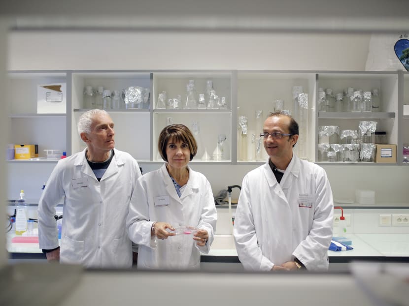 French researchers Philippe Durand (left) in charge of sciences at Kalistem startup, Marie-Helene Perrard, (centre) co-founder of Kalistem and Laurent David, a scientist at Lyon University, pose at the elite scientific university of Lyon (ENS), central France, on Sept 17, 2015. Photo: AP
