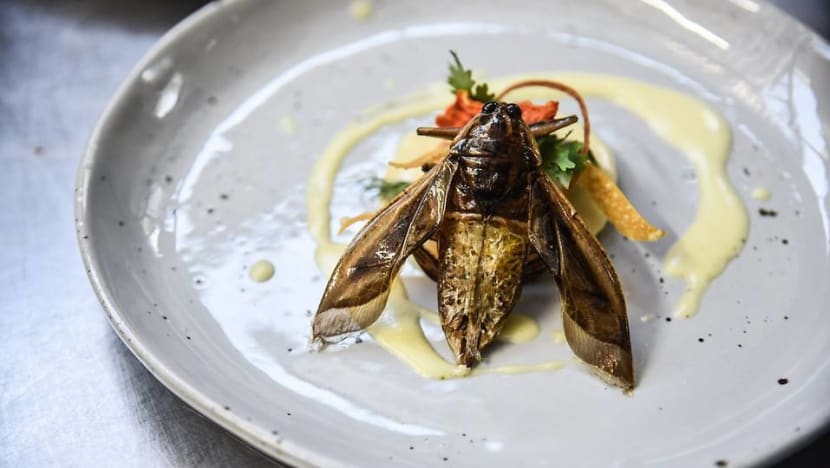 Food of the future? Five-star edible insects served up as Thailand gets creative with bug business Food of the future? Five-star edible insects served up as Thailand gets creative with bug business