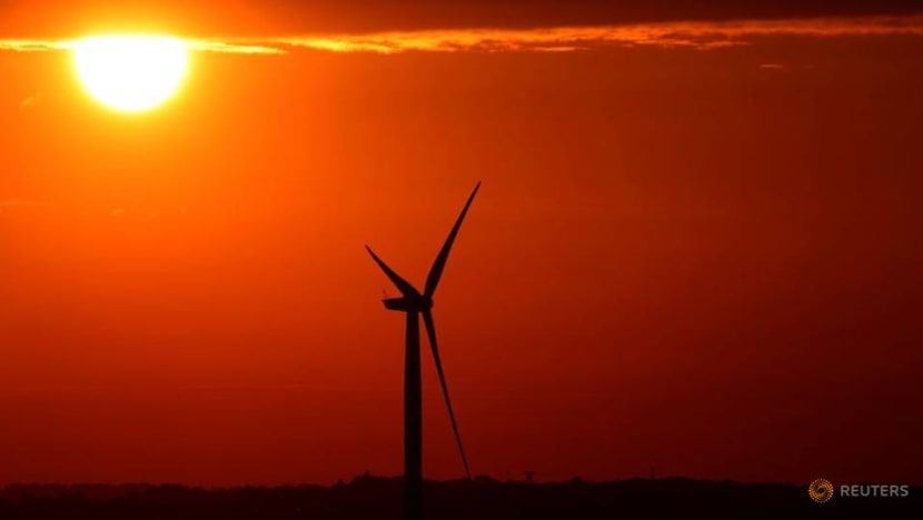 Analysis: Sheen comes off green in crowded climate investment space Analysis: Sheen comes off green in crowded climate investment space