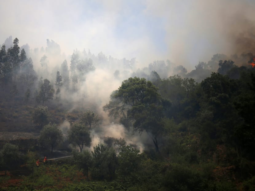 Firefighters work to put out a forest fire in the village of Capelo, near Gois, Portugal. Photo: Reuters