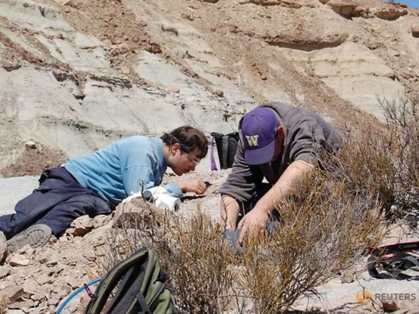 Scientists clarify origins of pterosaurs, the dinosaur era's flying reptiles Scientists clarify origins of pterosaurs, the dinosaur era's flying reptiles
