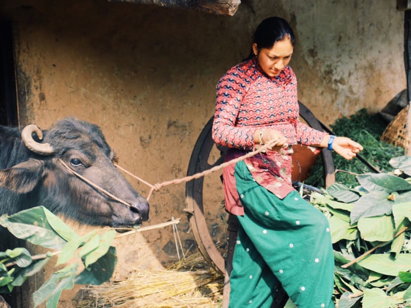 Nepal quake: Volunteer vets lift spirits in rural Kathmandu Valley