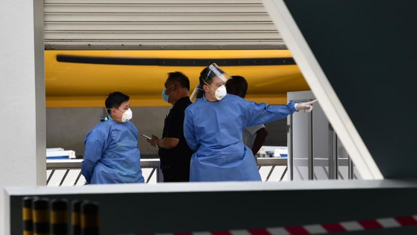 6 new COVID-19 cases in Singapore; cruise passenger tests negative 6 new COVID-19 cases in Singapore; cruise passenger tests negative