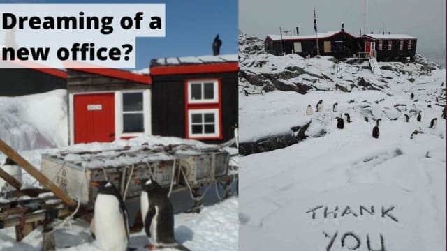 与世隔绝+冷到发抖！你愿意到南极去数企鹅吗？