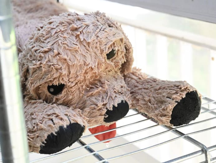 Soft toy hospitals Meet the 'doctors' who repair childhood plushies in