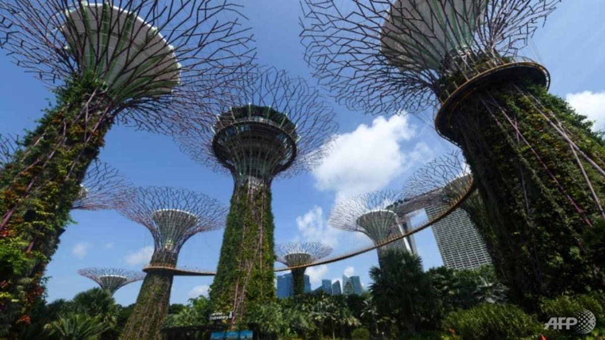 Komentar: Perlombaan untuk mendapatkan talenta yang langka di bidang keuangan ramah lingkungan mulai terjadi di Singapura