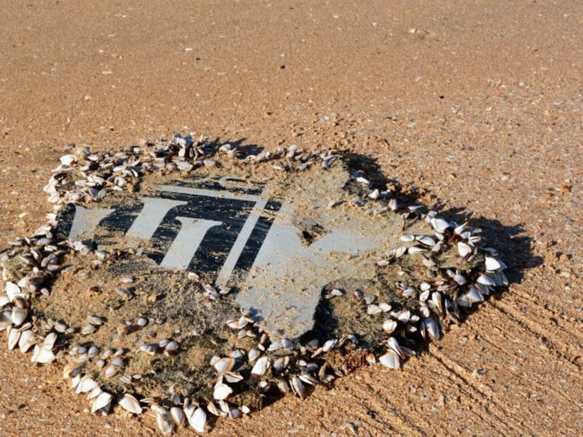A photo taken on Dec 23, 2015, shows a part of the aircraft engine cowling from missing Malaysia Airline flight MH370. Photo: Australian Transport Safety Bureau via AFP
