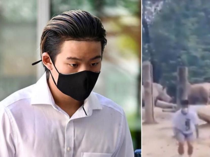 Ralph Wee Yi Kai arriving at the State Courts (left) in July 2021, and a screengrab of a TikTok video (right), where a young man is seen in a rhinoceros enclosure at the Singapore Zoo.