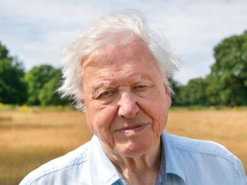 From his home, David Attenborough shows viewers A Perfect Planet