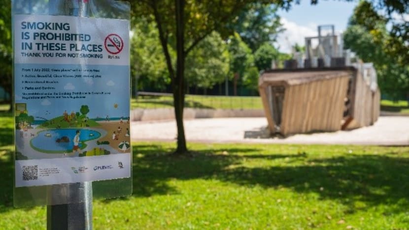 FAQ: Singapore extends smoking ban to public parks and beaches from July - what you need to know FAQ: Singapore extends smoking ban to public parks and beaches from July - what you need to know