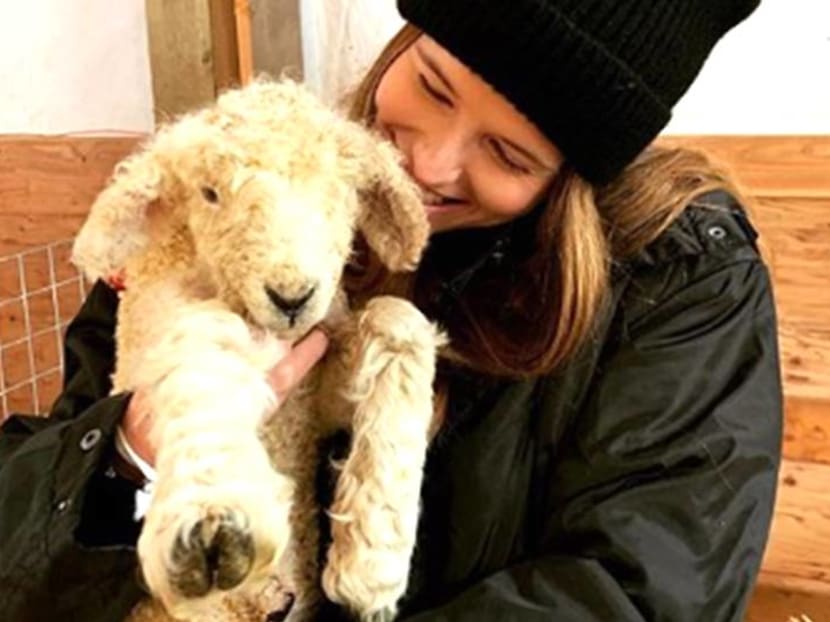 Chris Pratt and Katherine Schwarzenegger’s first Valentine’s Day Chris Pratt and Katherine Schwarzenegger’s first Valentine’s Day