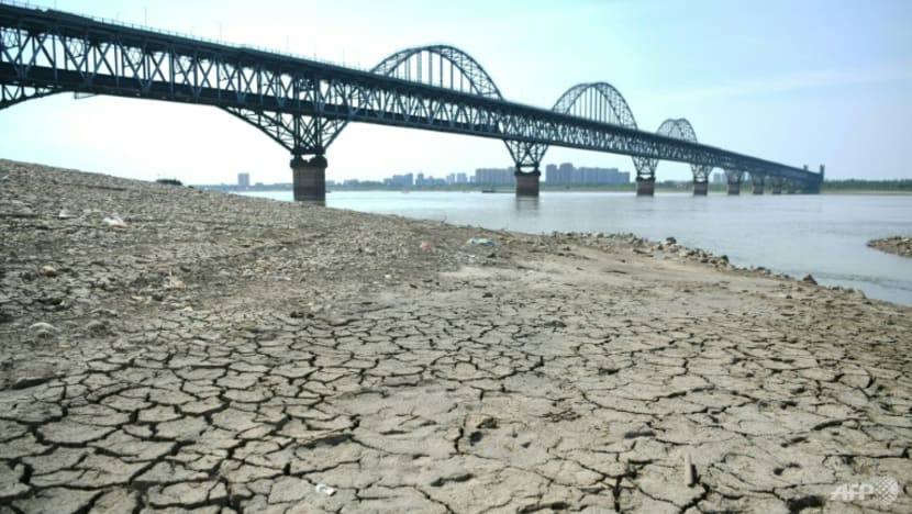 Last 8 years warmest on record globally: EU climate monitor Last 8 years warmest on record globally: EU climate monitor