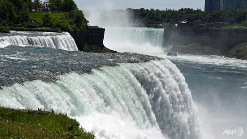 Man survives plunge over Niagara Falls Man survives plunge over Niagara Falls